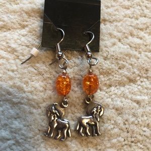 Earrings - NWT